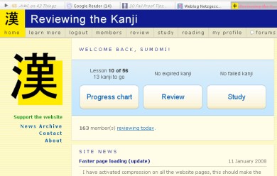 Screenshot Reviewing the Kanji